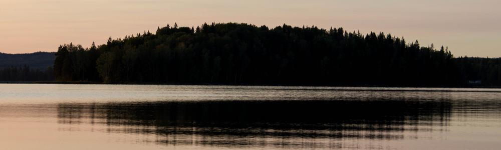 Skogsklädd ö i svensk sjö